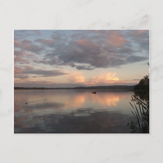 POSTAL HERMOSAS REFLEXIONES DE SHARON SHARPE (Anverso)