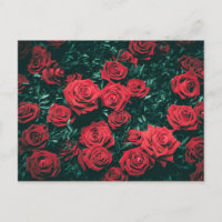 Hermosas Rosas Rojas