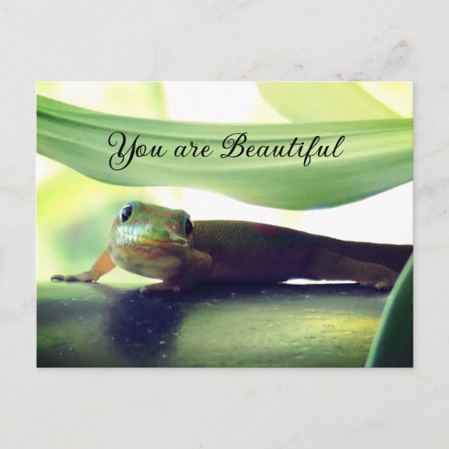 Postal Hermoso (Anverso)