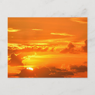 Postal Hermoso amanecer de Florida