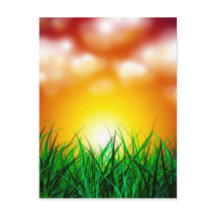 Hermoso amanecer sobre un campo de hierba