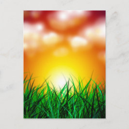 Postal Hermoso amanecer sobre un campo de hierba