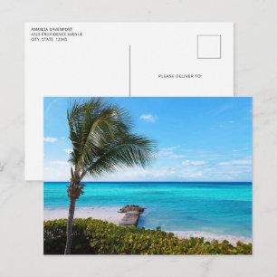 Postal Hermoso árbol de palma tropical ventoso