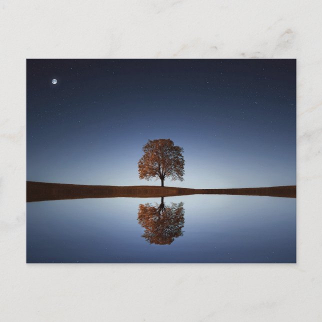 Postal Hermoso árbol solitario reflejado en el lago de Du (Anverso)