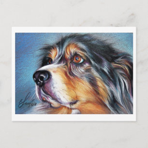 Postal Hermoso Aussie