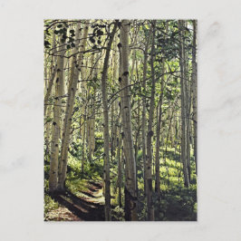 Postal Hermoso bosque de árboles ápicos en la Butte Crest