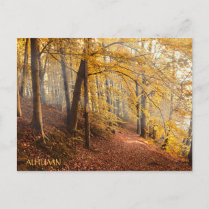 Postal Hermoso bosque otoñal