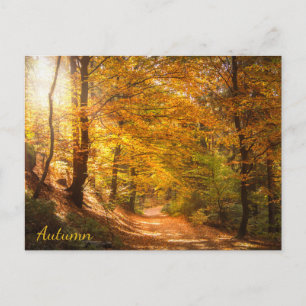 Postal Hermoso bosque otoñal