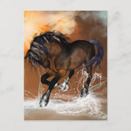Postal Hermoso caballo