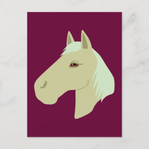 Postal Hermoso caballo