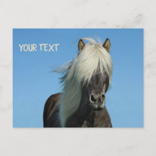 Postal Hermoso caballo bajo el cielo azul