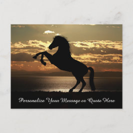 Postal Hermoso caballo de Stallion en Sunset Personaliza