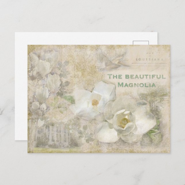 Postal Hermoso Collage de Magnolia Vintage (Anverso / Reverso)