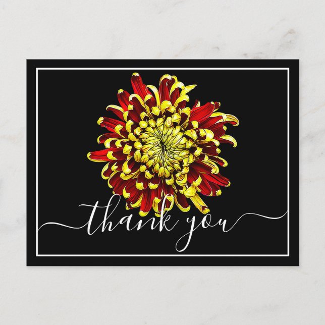 Postal Hermoso Crisantema Rojo Y Amarillo Gracias (Anverso)