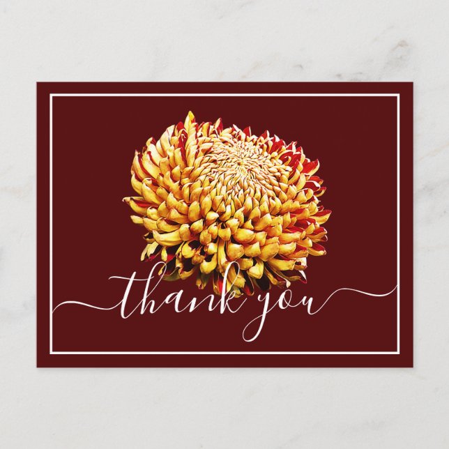 Postal Hermoso crisantemo amarillo y rojo gracias (Anverso)