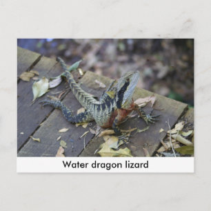 Postal Hermoso dragón de agua