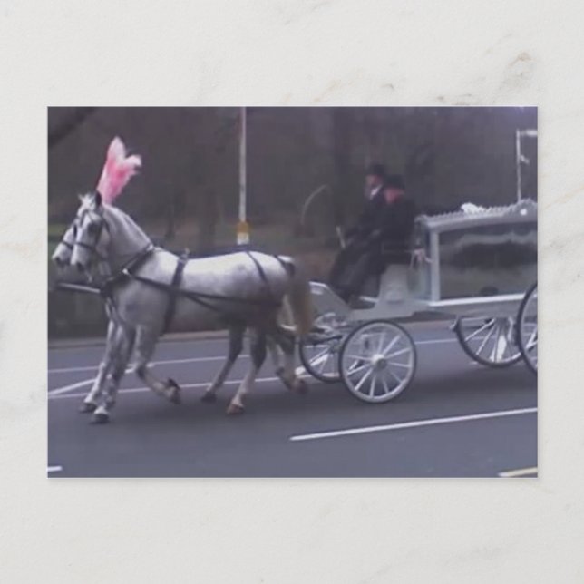 Postal Hermoso Funeral Vintage (Anverso)