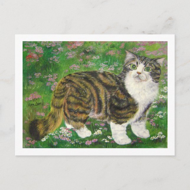 Postal hermoso gato (Anverso)