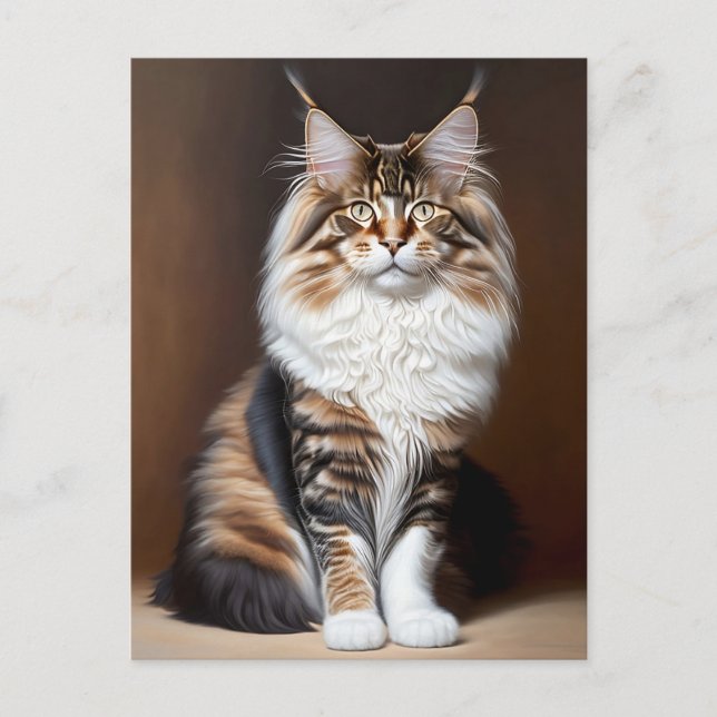 Postal hermoso gato (Anverso)