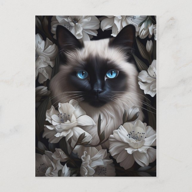 Postal Hermoso gato Birman entre flores blancas (Anverso)