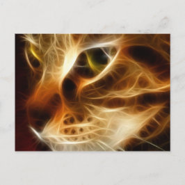 Postal Hermoso Gato De Fuego Fantasma