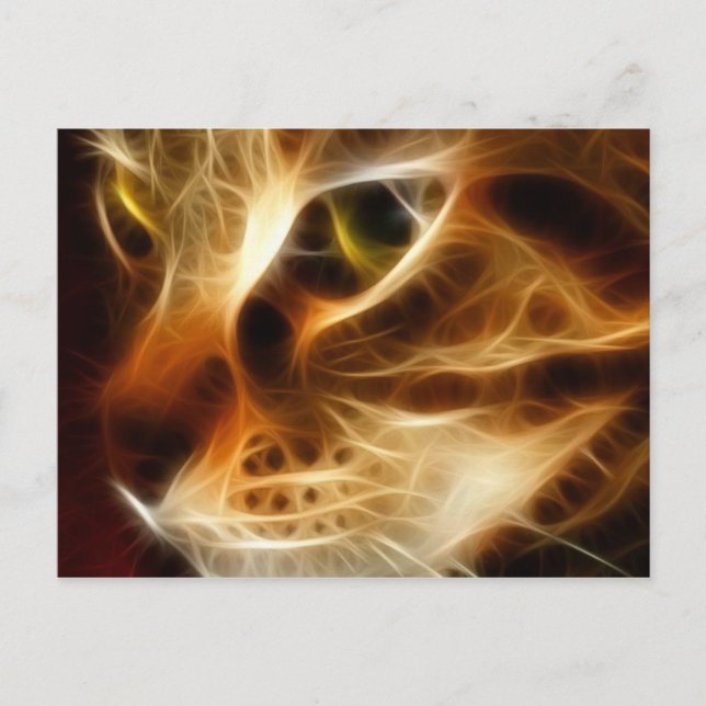 Postal Hermoso Gato De Fuego Fantasma (Anverso)