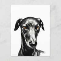 Hermoso ilustracion Galgo Negro para los amantes d