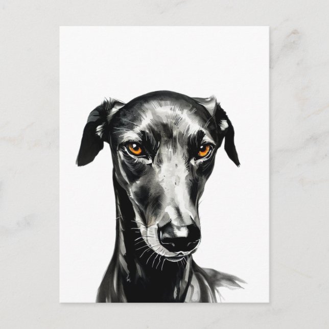 Postal Hermoso ilustracion Galgo Negro para los amantes d (Anverso)