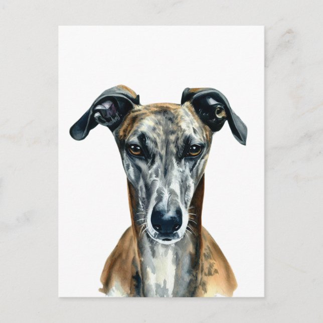Postal Hermoso ilustracion romano le Greyhound (Anverso)