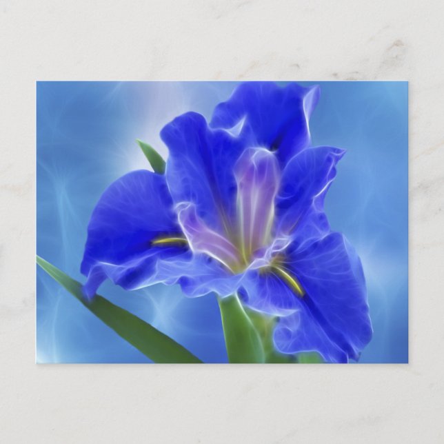 Postal Hermoso iris fractal y su significado (Anverso)