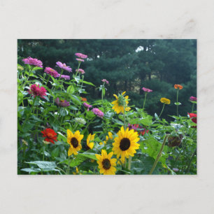 Postal Hermoso jardín florido