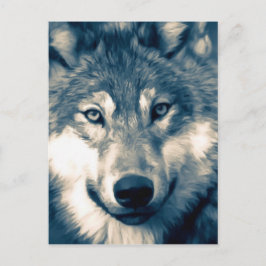 Postal Hermoso Lobo Gris Woodland Animal