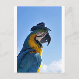 Postal Hermoso loro llevando un Gorra
