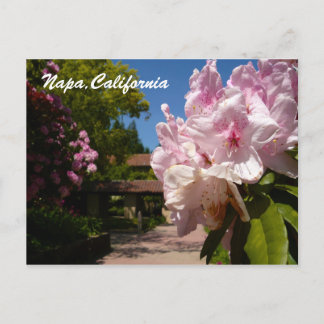 Postal Hermoso Mont La Salle