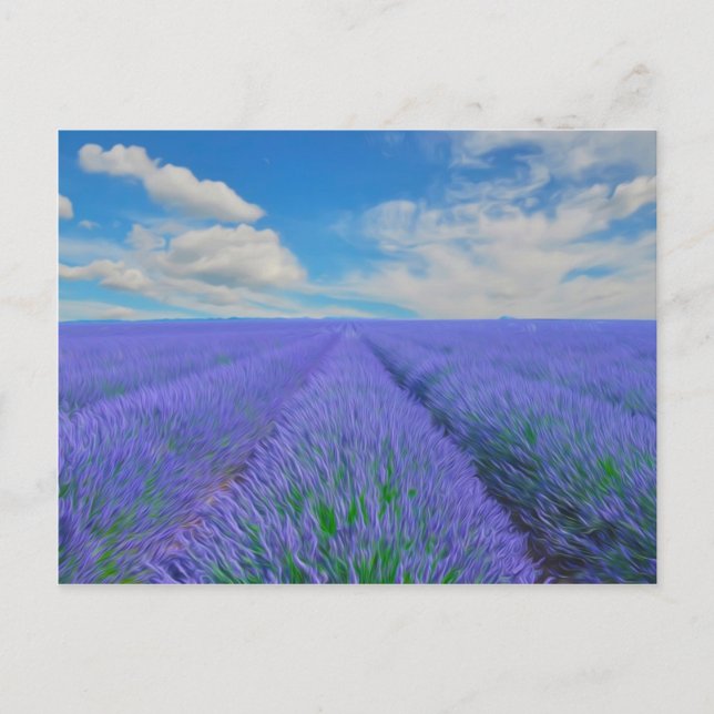 Postal Hermoso paisaje de campos de lavanda (Anverso)