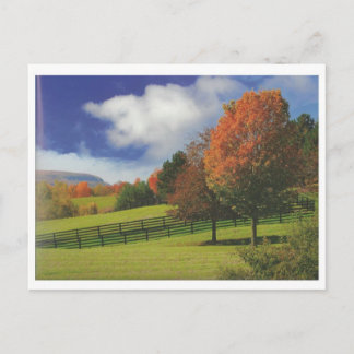 Postal Hermoso paisaje de Canadá en Niágara: Regalo LOWPR