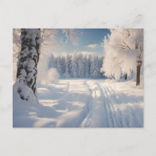Postal Hermoso paisaje de los bosques de invierno