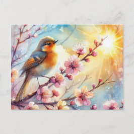 Postal Hermoso paisaje de primavera de aves 17