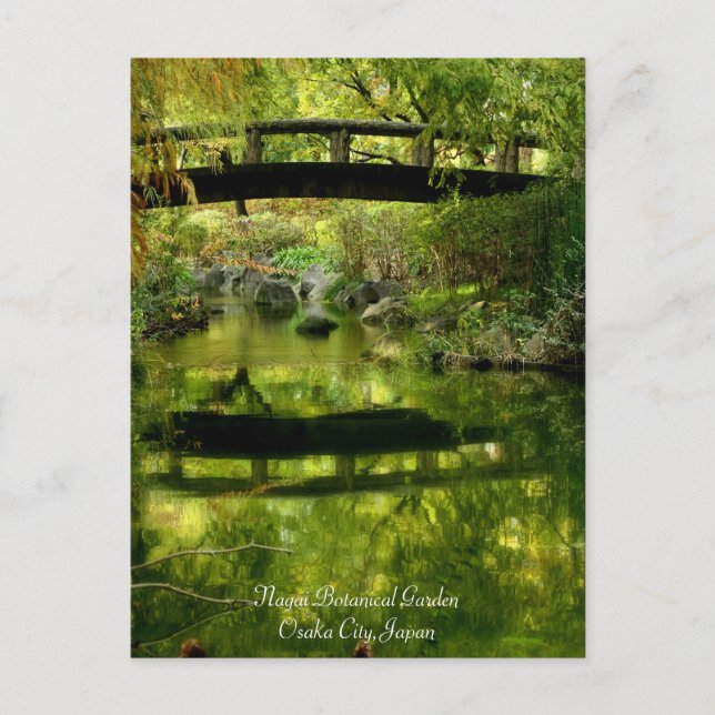 Postal Hermoso paisaje:Postal (Anverso)