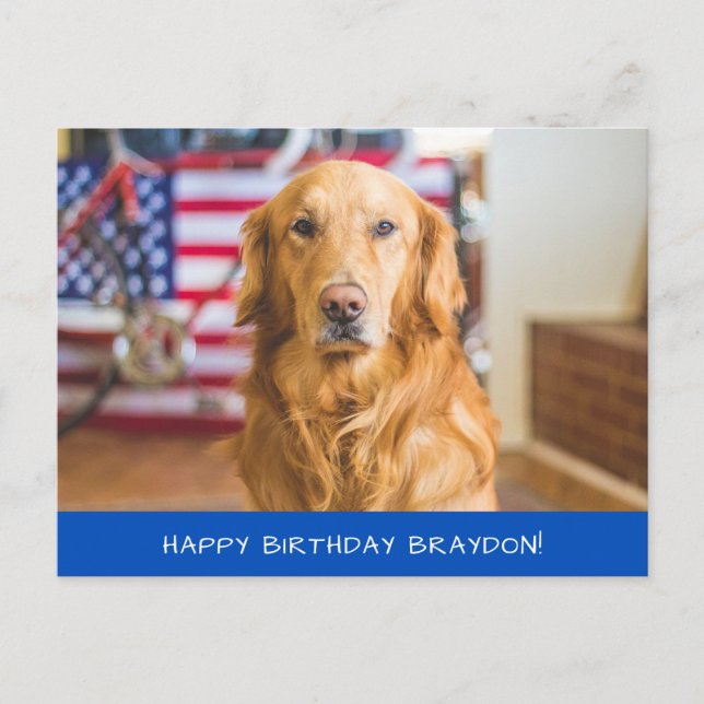 Postal Hermoso perro Golden Retriever (Anverso)