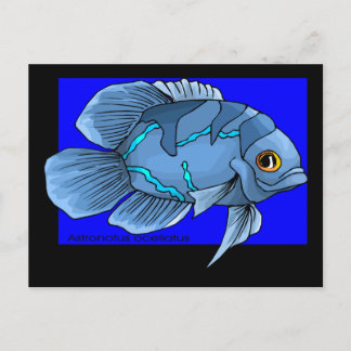 Postal Hermoso pez tropical azul del Oscar