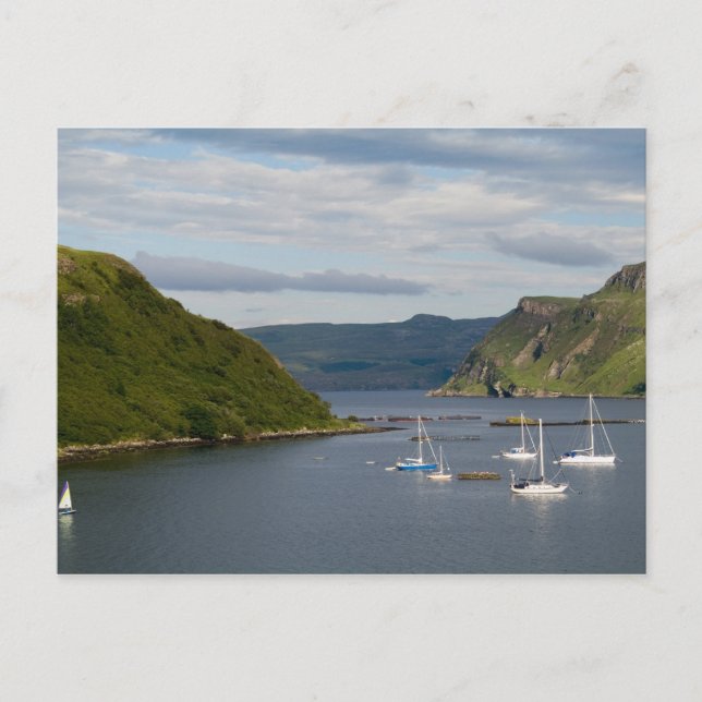 Postal Hermoso puerto y veleros con reflectores en (Anverso)