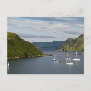 Postal Hermoso puerto y veleros con reflectores en