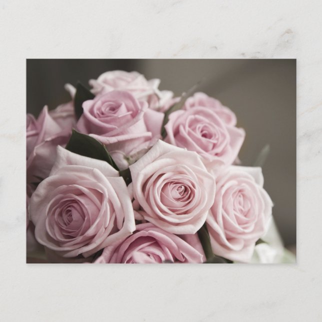 Postal Hermoso ramo rosa rosa (Anverso)