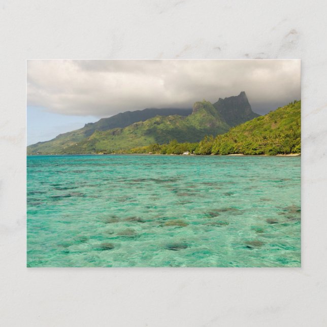 Postal Hermoso Resort Sheraton en Moorea, Francés (Anverso)