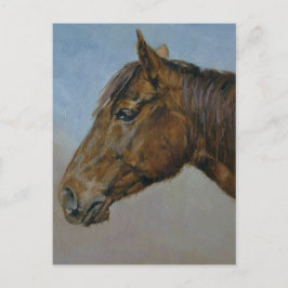 Postal Hermoso retrato de caballo marrón