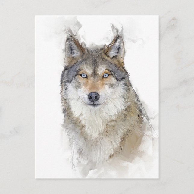 Postal Hermoso retrato de lobo (Anverso)