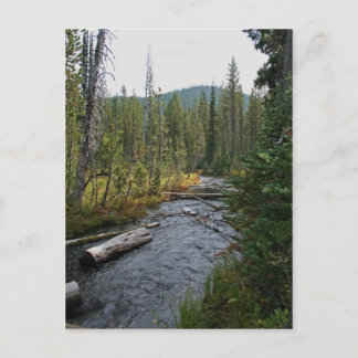 Postal Hermoso río Deschutes Oregón