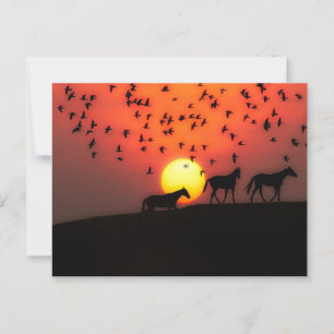 Postal Hermoso Sunset de Silhouette