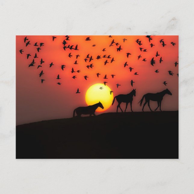 Postal Hermoso Sunset de Silhouette (Anverso)